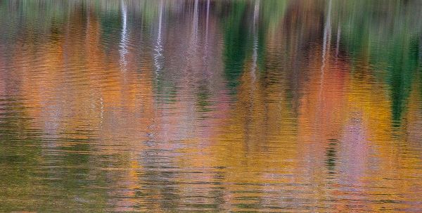 Gulin, Sylvia 아티스트의 USA-New Hampshire-New England Fall colors reflected in the waters of the Saco River Crawford Notch 작품입니다.